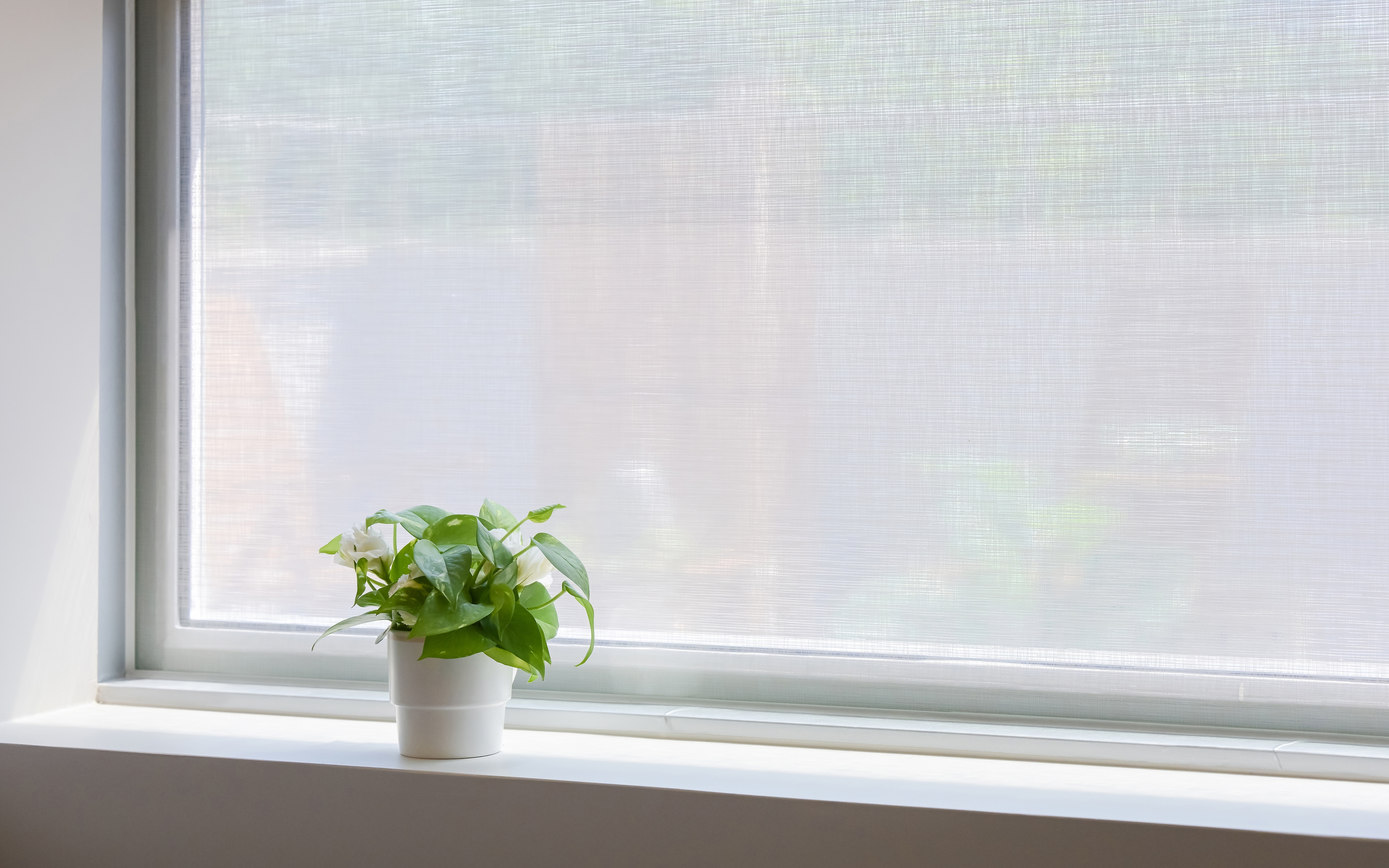 프리미엄 관리, 누구나 누릴 수 있는 서비스